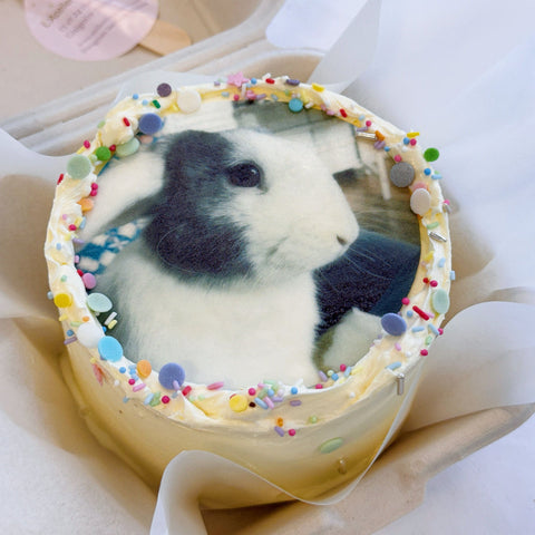 BENTO CAKE PHOTO